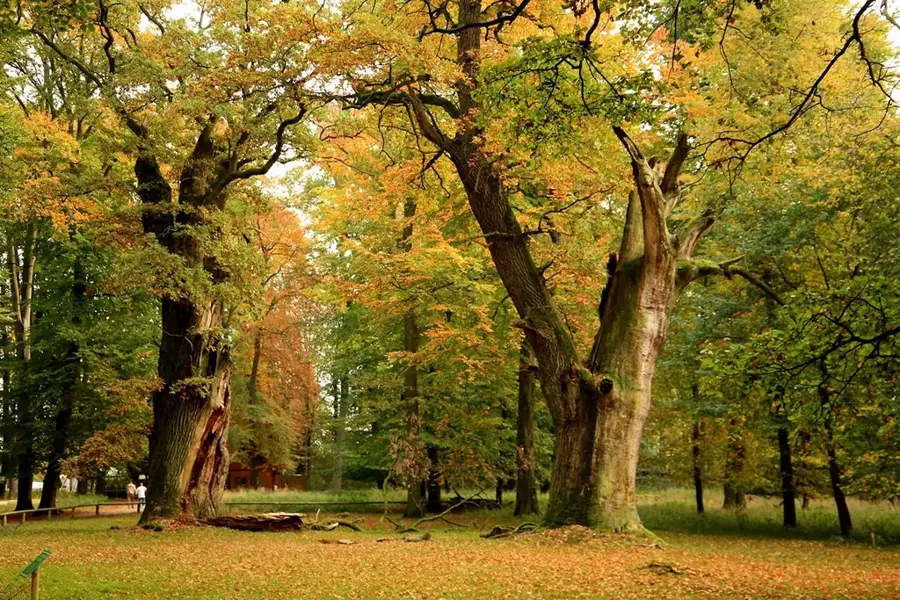 Gilo-Wald — Magwi (Südsudan)