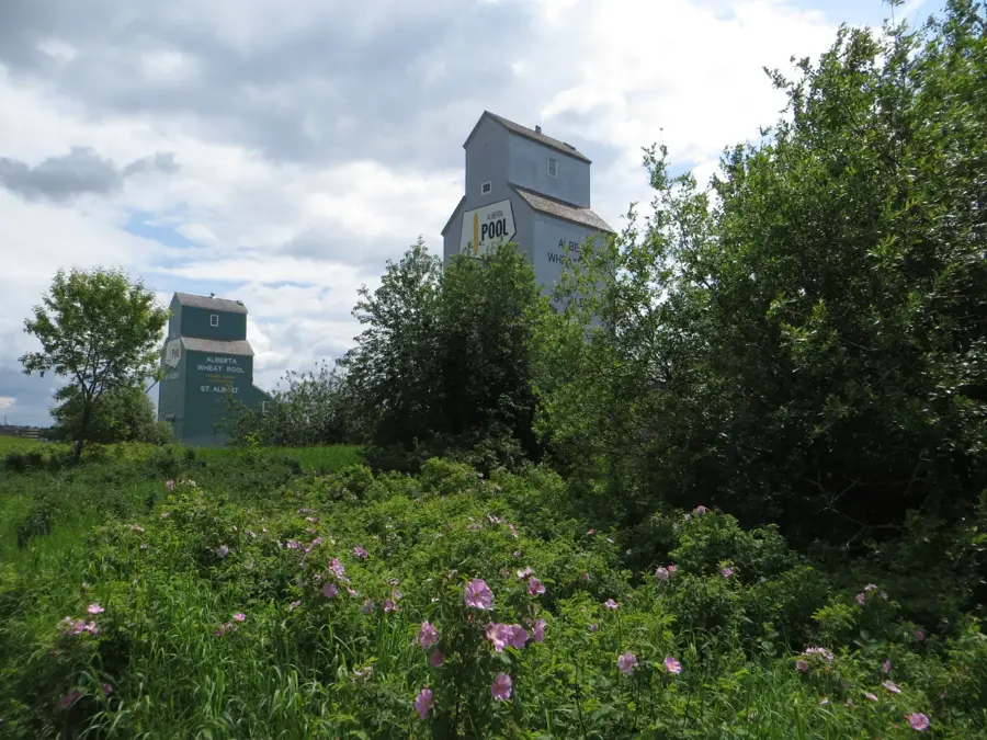 St. Albert