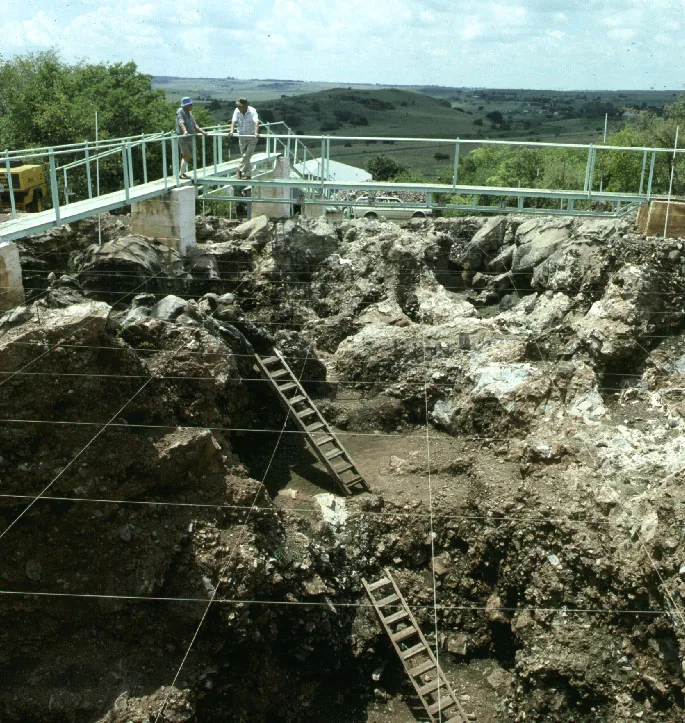 Sterkfontein-Höhlen