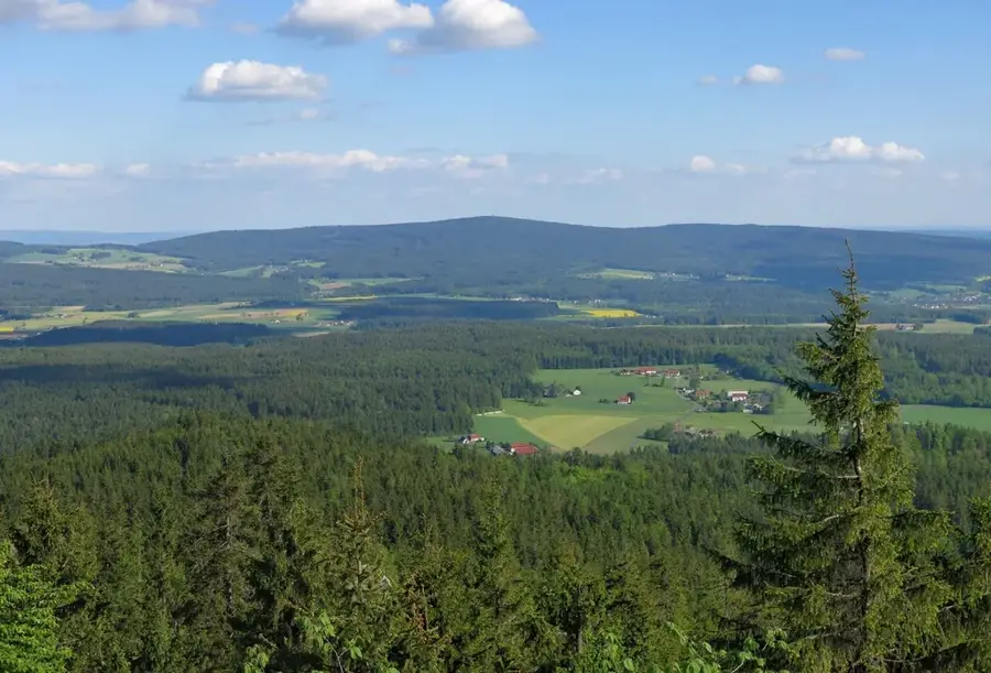 Steinwald (China)