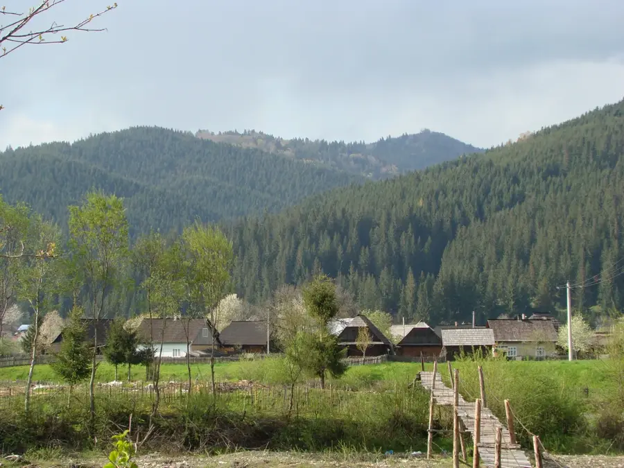Straja – oraș