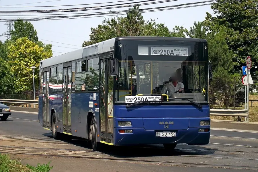 Sülysáp
