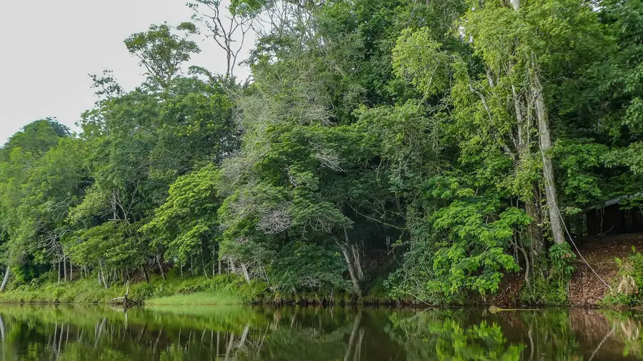 Bergendal — Lelydorp (Suriname)
