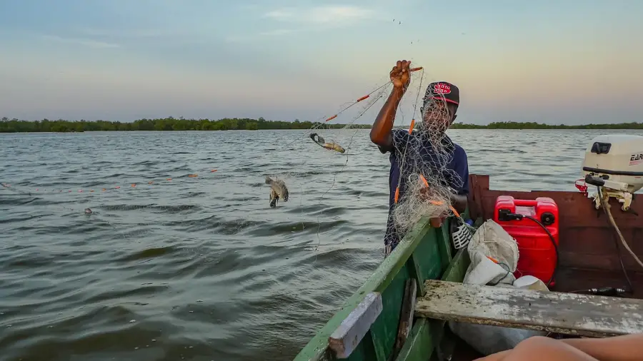 Bigi Pan — Lelydorp (Suriname)