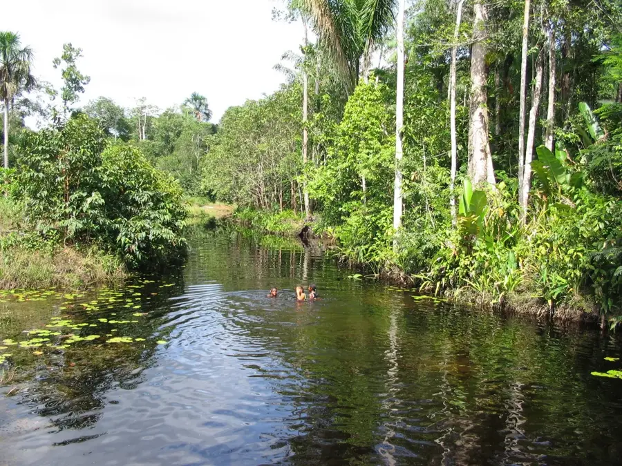 Cola Creek — Lelydorp (Suriname)