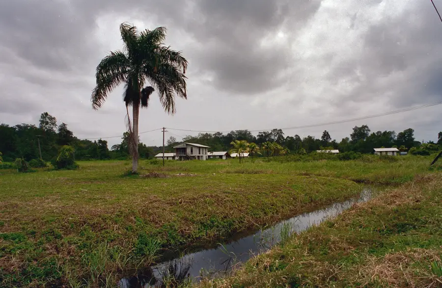 Commewijne Plantagen — Lelydorp (Suriname)