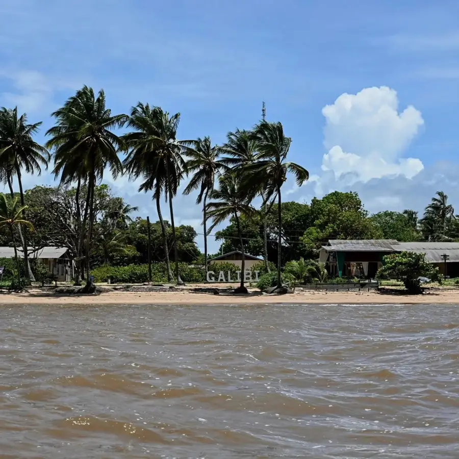 Galibi Naturreservat — Lelydorp (Suriname)