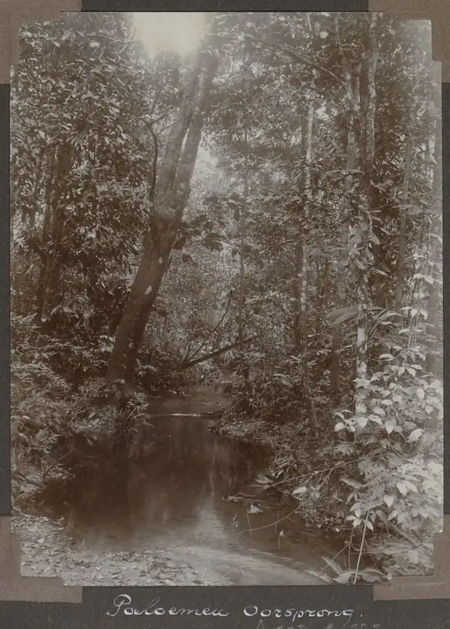 Palumeu — Lelydorp (Suriname)