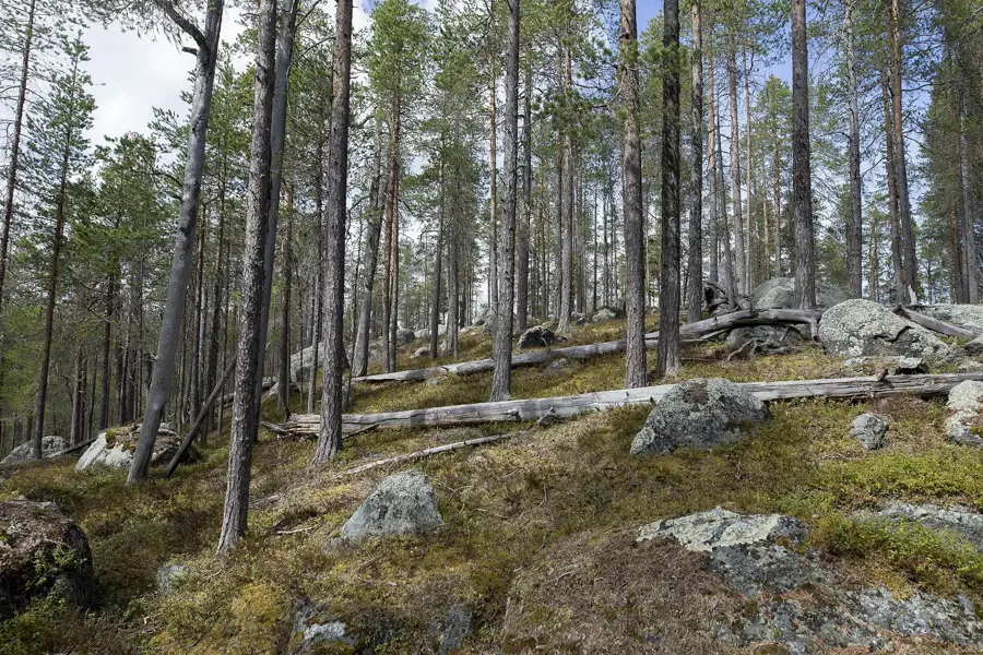 Björnlandet National Park
