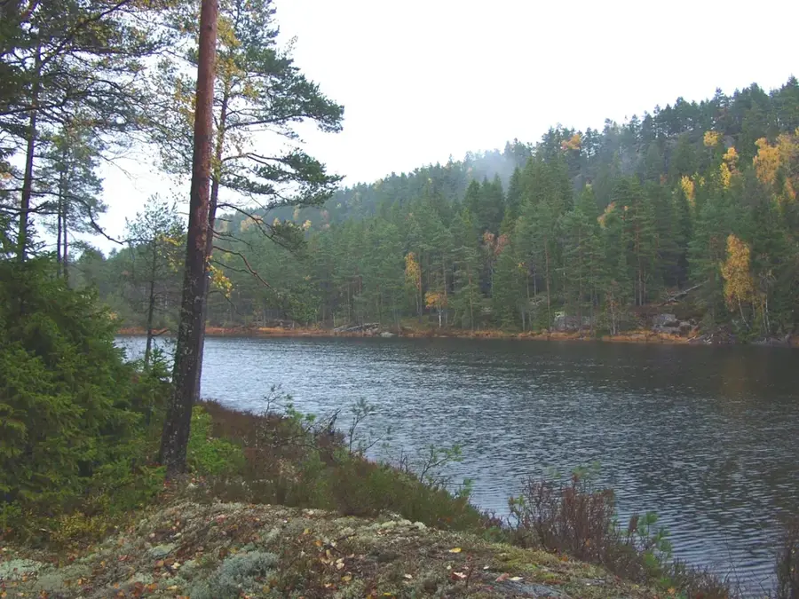 Tresticklan Nemzeti Park