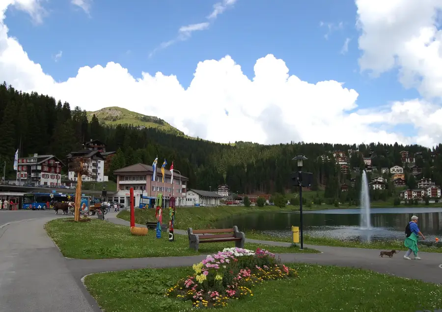 Arosa