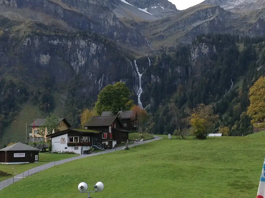 Braunwald