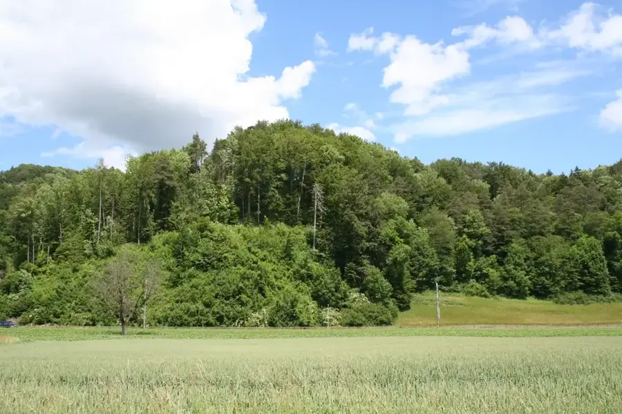 Glattburg Castle Ruins — Aadorf (Switzerland)