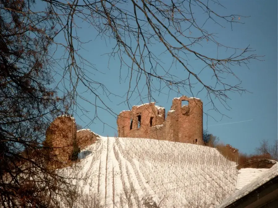Burgruine Gutenburg — Aarburg (Schweiz)