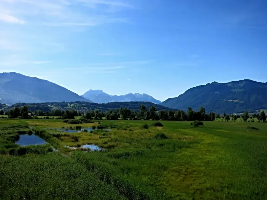 Kaltbrunner Riet — Sirnach (Switzerland)