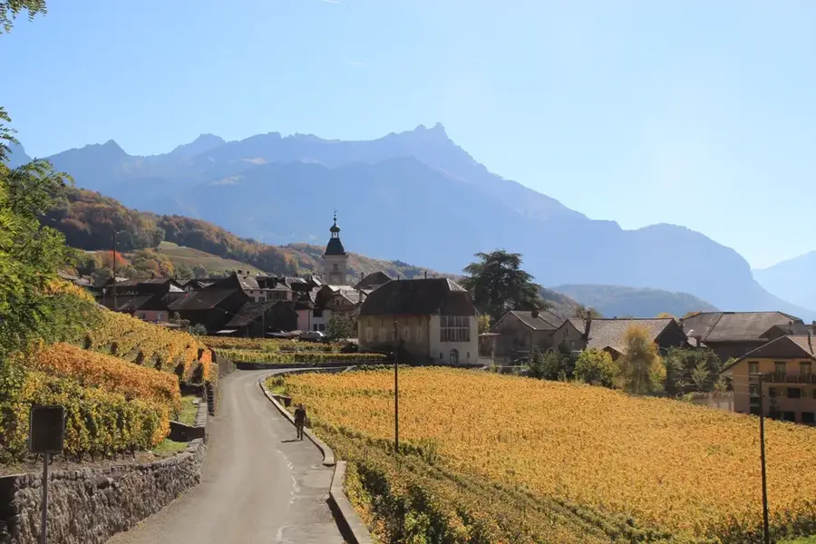 Lac de la Gryonne — Châtel-Saint-Denis (Switzerland)