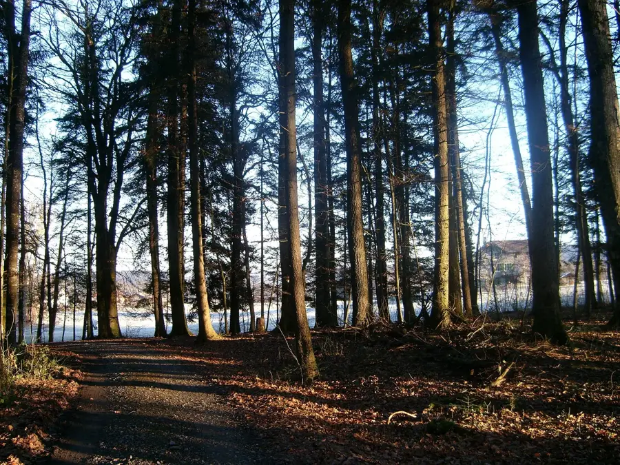 Lac de l'Etang