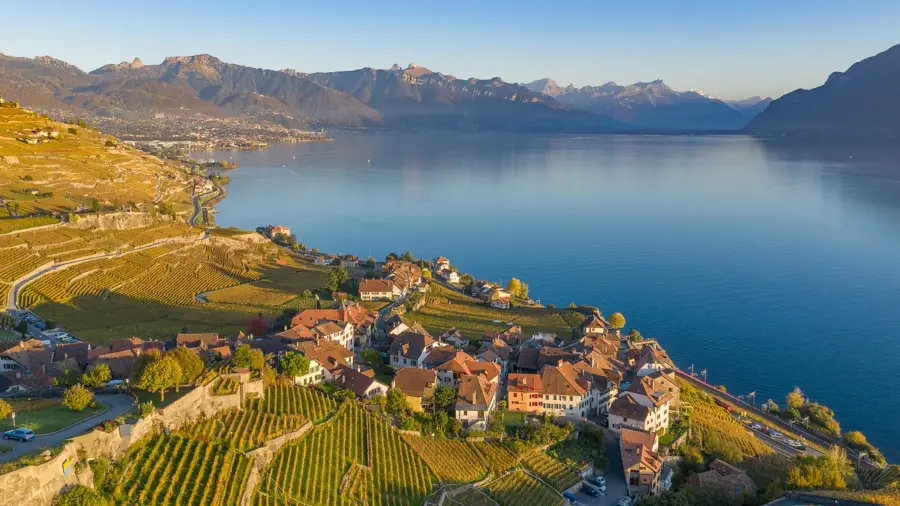 脫Lavaux