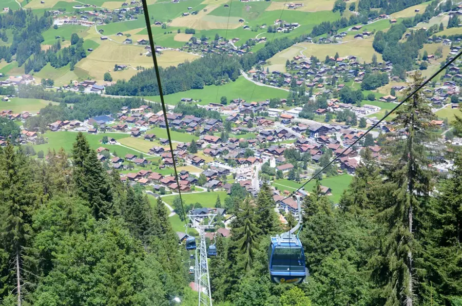 Lenk