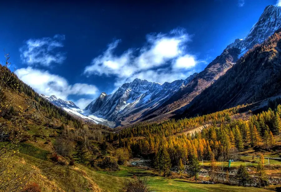 Lötschental — Fermă de Vite Buuhoodle (Somalia)