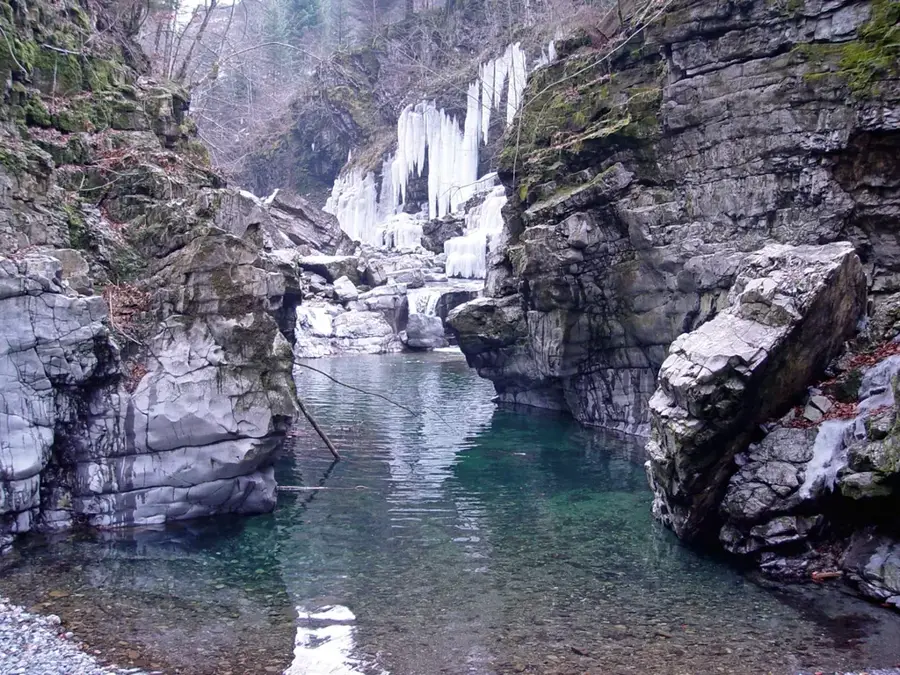 Muota — Küssnacht (Schweiz)