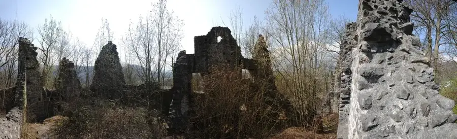 Neuburg Castle Ruins