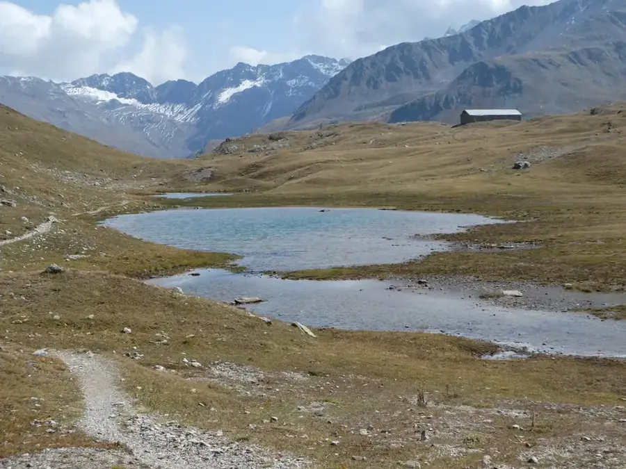Piz da Stretta — Dhambalin Felskunst (Somalia)