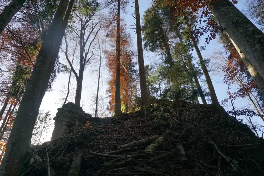 Riedburg Castle Ruins