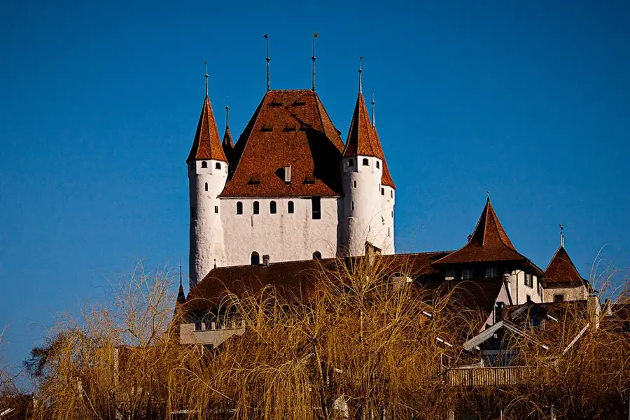 Thun Castle