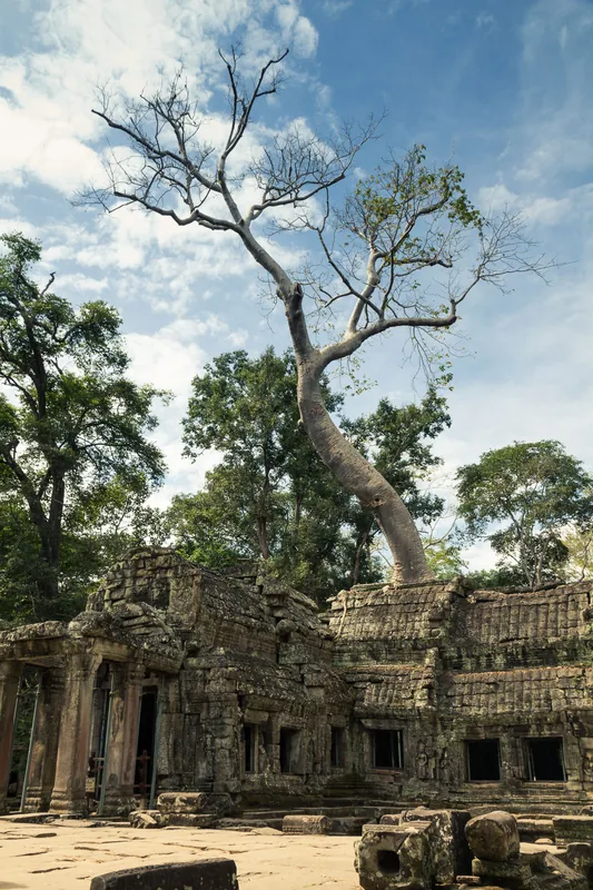 Ta Prohm — Preah Ko (Kambodscha)