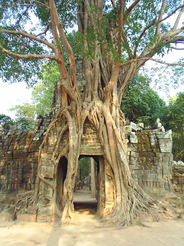 Ta Som — Samraong (Kambodscha)
