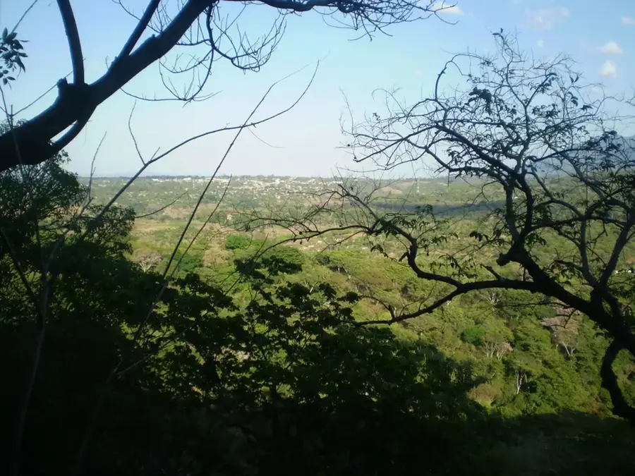 Tacuba