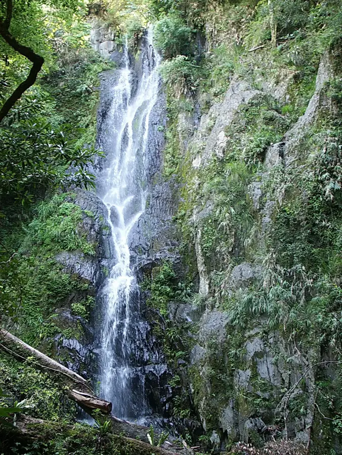 Smangus