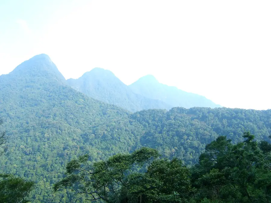 Tam Đảo National Park — Vĩnh Yên (Vietnam)