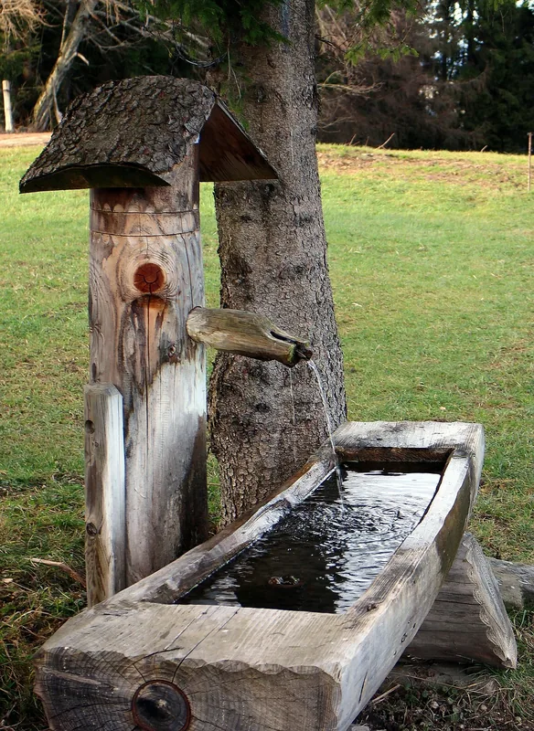 Tanganyika Trough — Lake Tshangalele (Congo - Kinshasa)