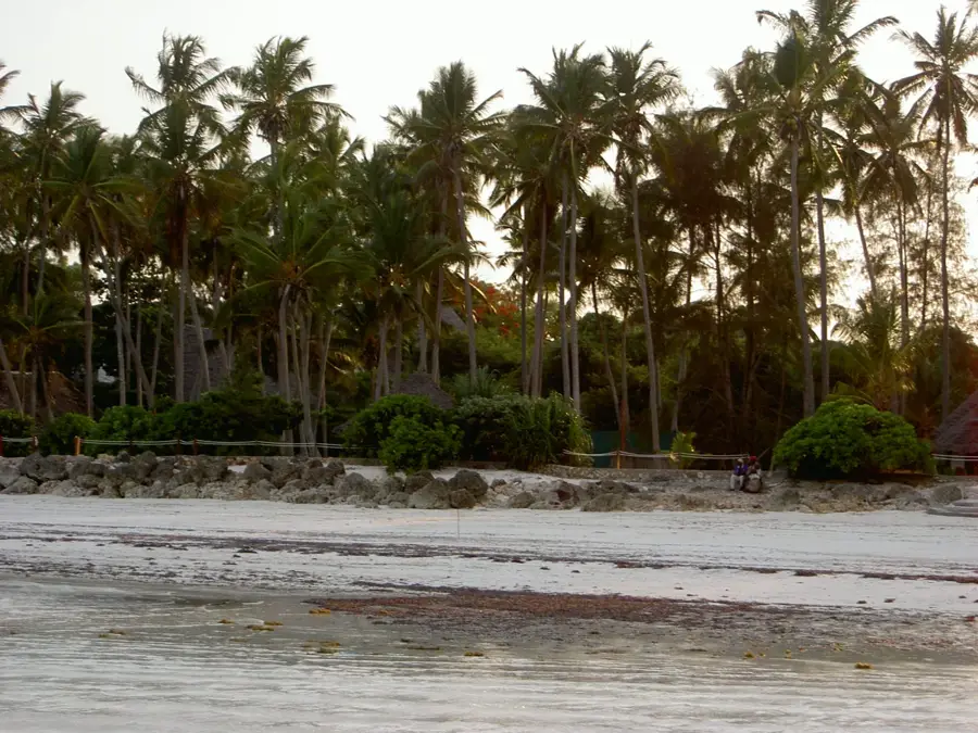 Pwani Mchangani
