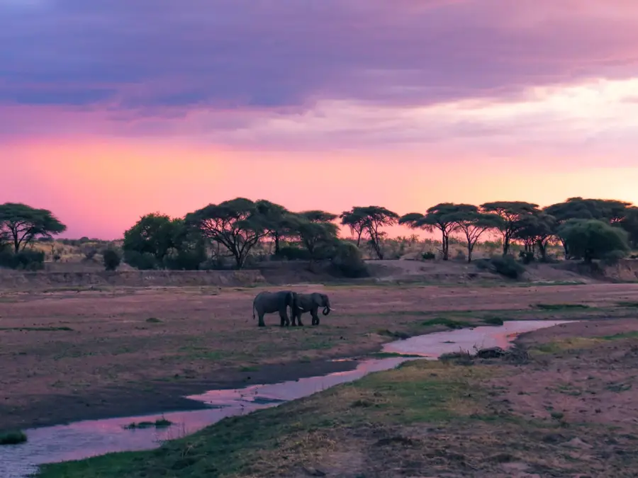 Ruaha-Nationalpark