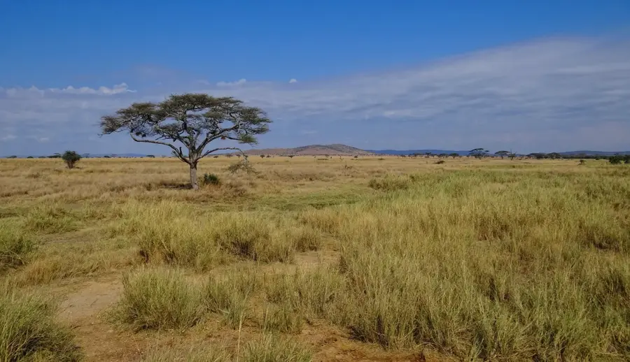 Parcul Național Serengeti — Berkane (Maroc)