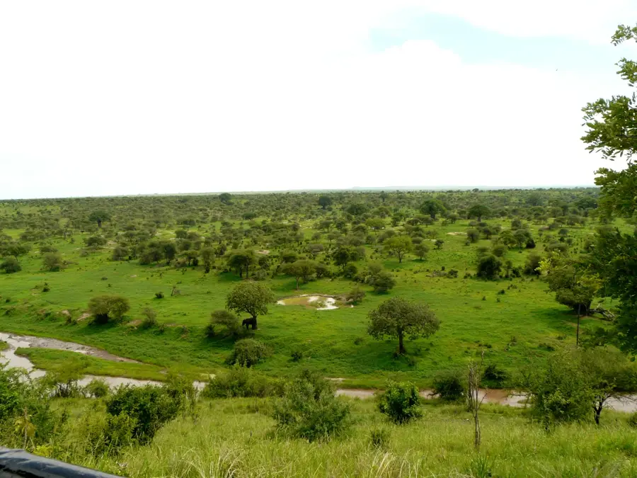 Tarangire Nationalpark — Babati (Tansania)