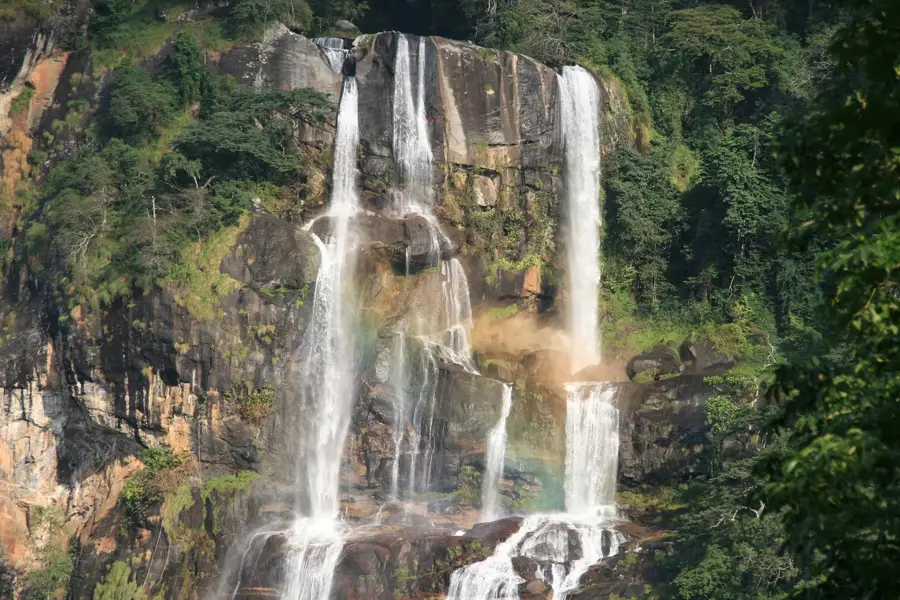 Udzungwa Mountains Nemzeti Park