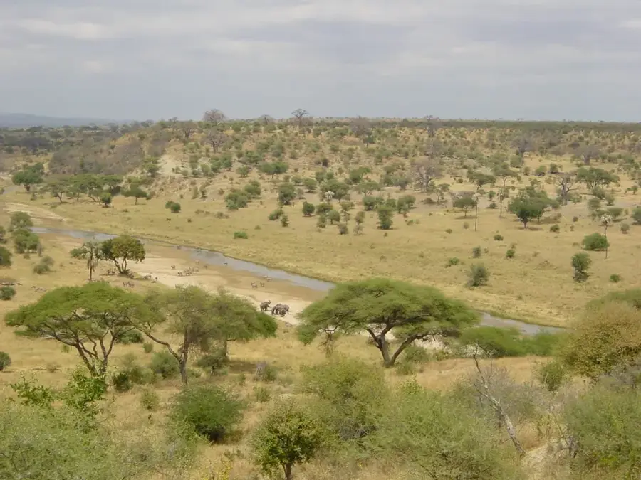 Tarangire-Park — Babati (Tansania)