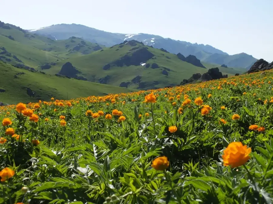 Tarbagatai-Gebirge — Belucha (Kasachstan)