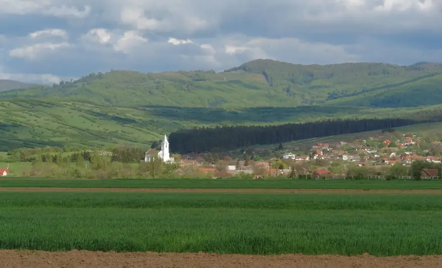 Tărlungeni – oraș