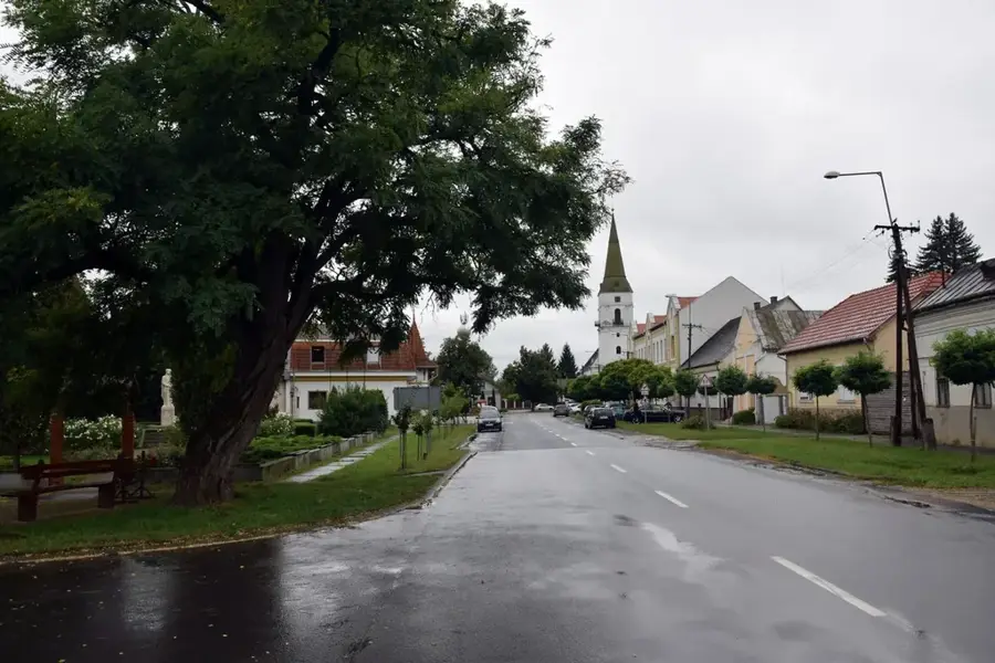 Tarpa — Mátészalka (Magyarország)