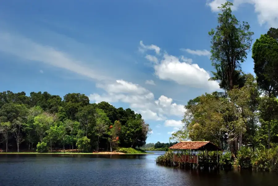 Tasek Merimbun — Telisai (Brunei)