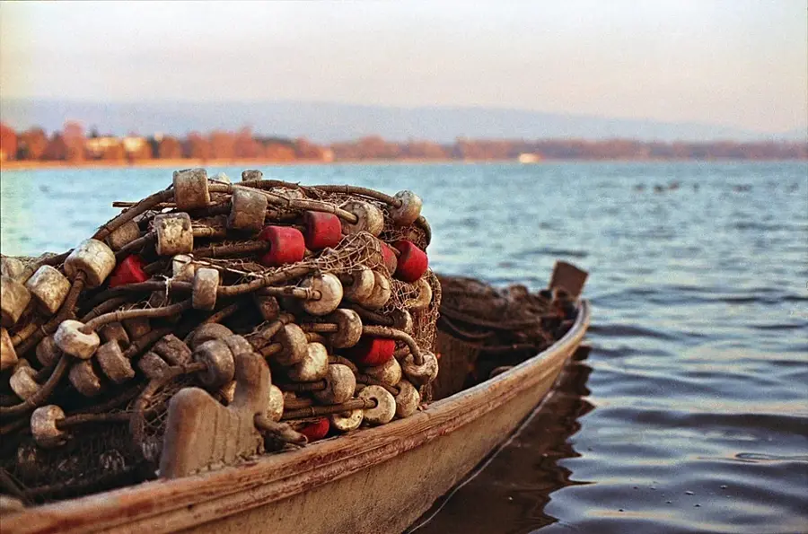 Tát — Tata (Magyarország)