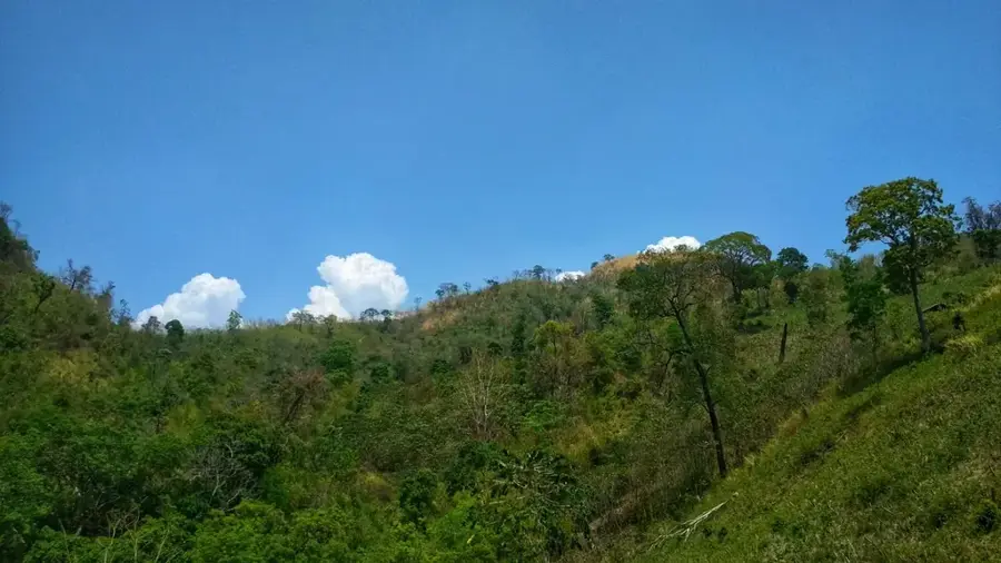 Tazing Dong — Chittagong (Bangladesch)
