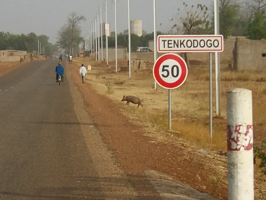 Tenkodogo-Ebene