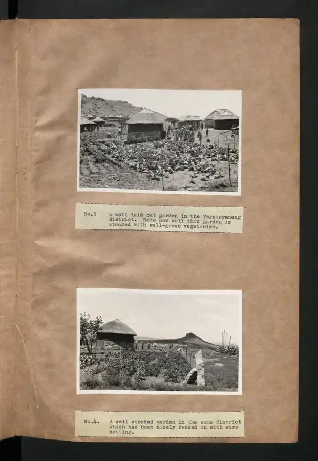 Teyateyaneng
