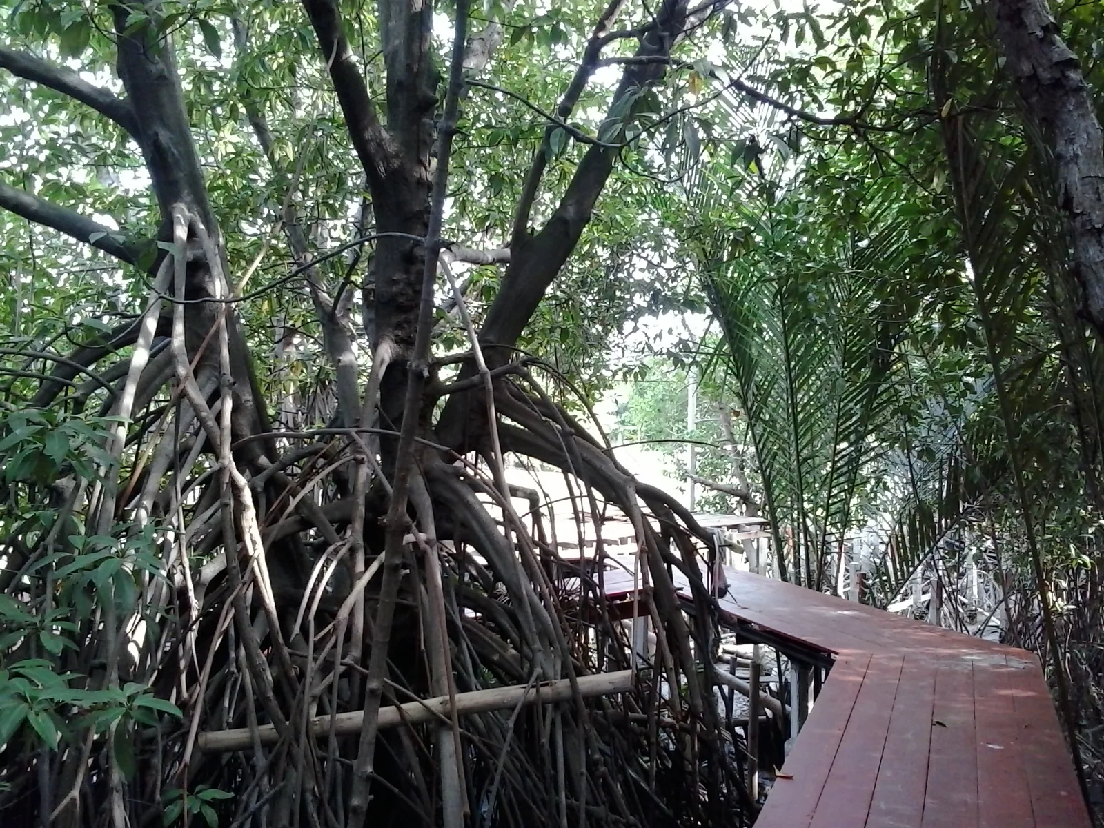 Ban Tha Kham